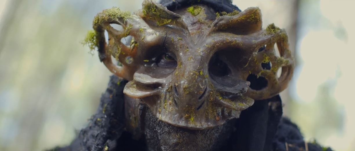 NAU Director - monster